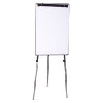 flip chart sakana