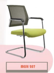 MESH 207