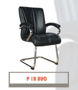 P1B AUC