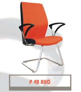P4B AUC