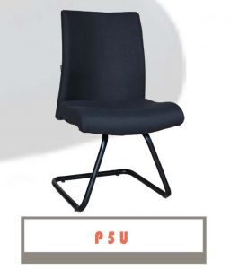 P5 U