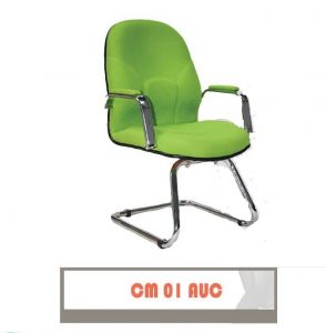 CM 01 AUC