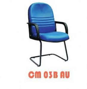 CM 03B AU