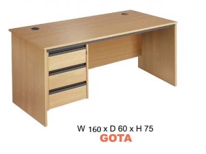 GOTA 120
