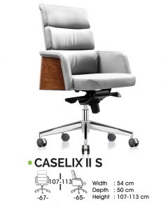 CASELIX II S
