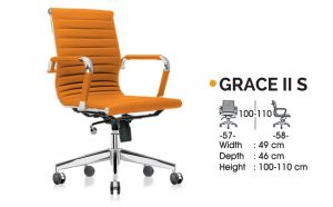 GRACE II S