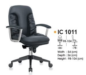 IC 1011