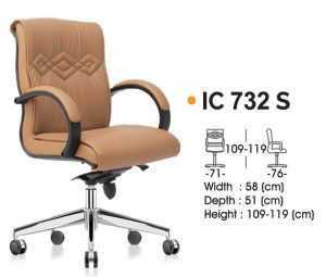 IC 732 S