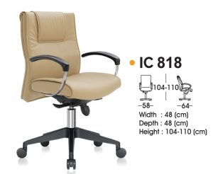 IC 818