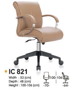IC 821