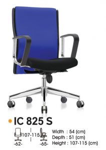IC 825 S