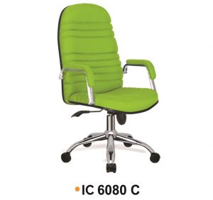 IC 6080 C